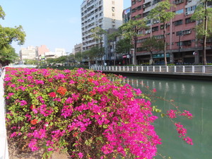 IMG_1204.jpg