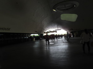 IMG_1265.jpg