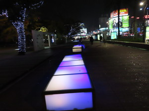 IMG_1445.jpg