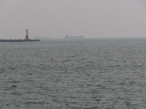 IMG_1555.jpg