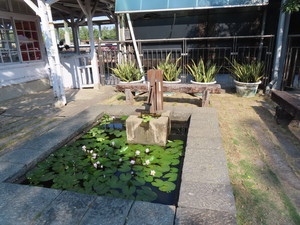 IMG_1608.jpg