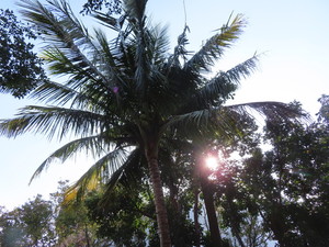 IMG_1612.jpg