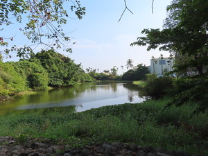 IMG_1614.jpg