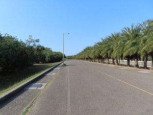 IMG_1625.jpg