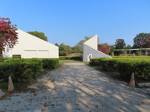 IMG_1627.jpg