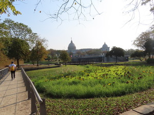 IMG_1629.jpg