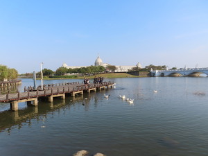 IMG_1642.jpg