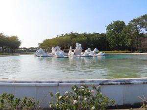 IMG_1646.jpg