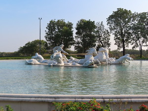 IMG_1657.jpg
