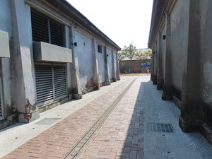 IMG_1890.jpg