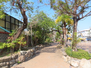 IMG_1929.jpg