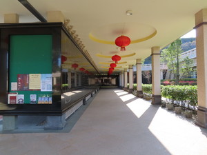 IMG_1937.jpg