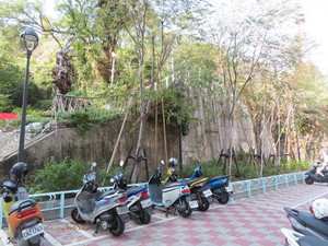 IMG_1997.jpg