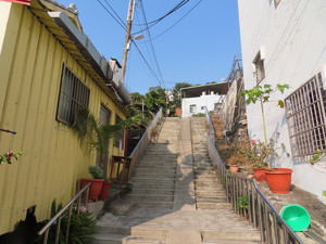 IMG_2015.jpg