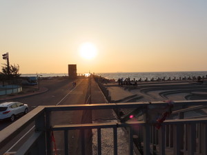 IMG_2043.jpg