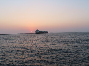 IMG_2058.jpg