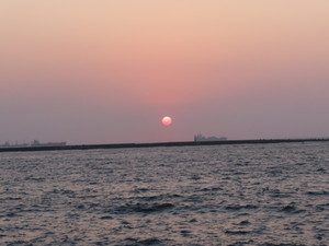 IMG_2061.jpg