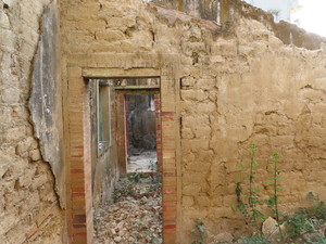 IMG_2062.jpg