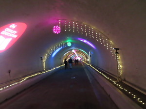 IMG_2093.jpg
