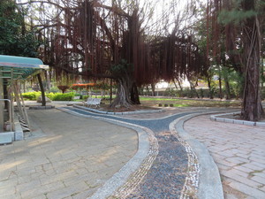 IMG_2103.jpg