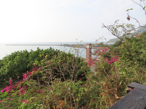 IMG_2117.jpg