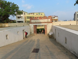 IMG_2131.jpg