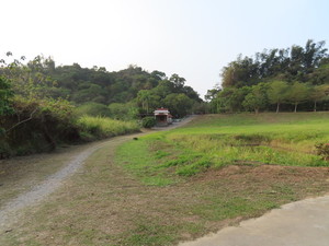 IMG_2140.jpg
