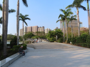 IMG_2159.jpg
