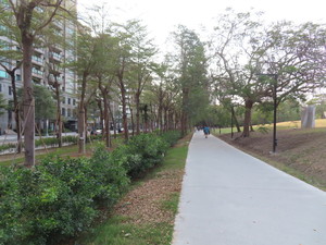 IMG_2160.jpg