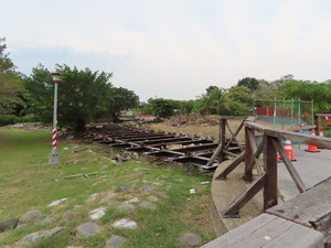 IMG_2293.jpg