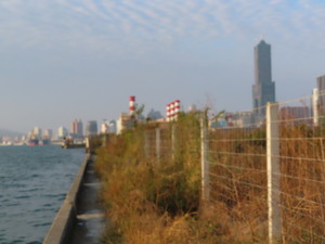 IMG_2553.jpg