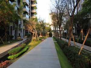 IMG_2573.jpg