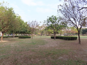 IMG_2578.jpg