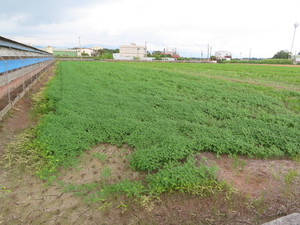 IMG_3800.jpg