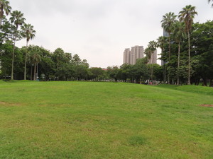 IMG_3850.jpg