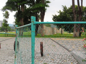 IMG_3951.jpg