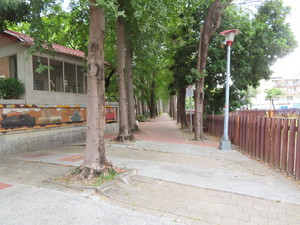 IMG_4339.jpg