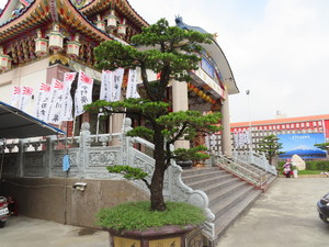 IMG_4413.jpg