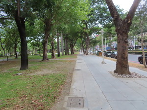 IMG_4857.jpg
