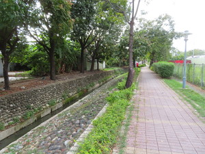 IMG_4860.jpg