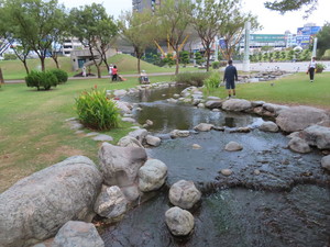 IMG_4880.jpg