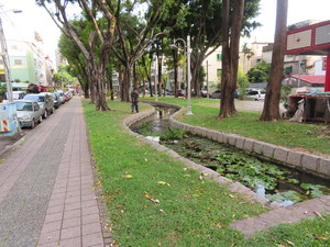 IMG_4893.jpg