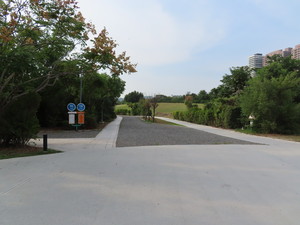 IMG_4909.jpg