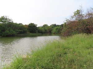 IMG_4910.jpg