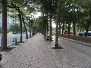 IMG_4933.jpg