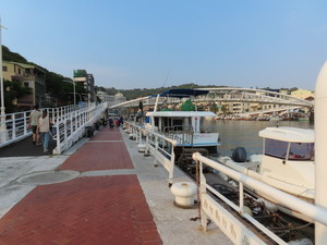IMG_4990.jpg