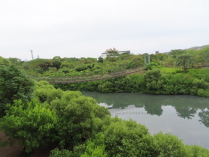 IMG_5014.jpg