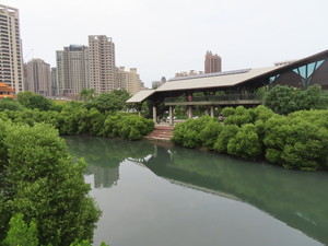 IMG_5017.jpg