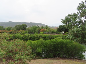 IMG_5025.jpg