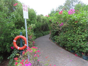 IMG_5037.jpg